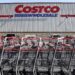 “Scandal! 48,000 Mattresses Exposed to Risk of Mold at Costco!