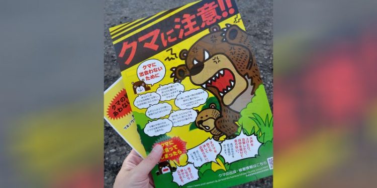 “Record High Bear Attacks in Japan: Climate Change and Aging Population Make Problem Dire