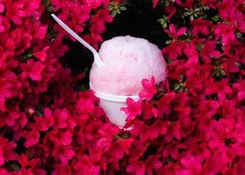 Missouri’s Tiny City Could Strike Eclipse Gold – If It Doesn’t Hold Back!