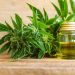 High Times Ahead: DEA Seeks to Reschedule Cannabis, Sends Stocks Soaring