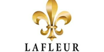 LaFleur Minerals Announces Grant of Stock Options