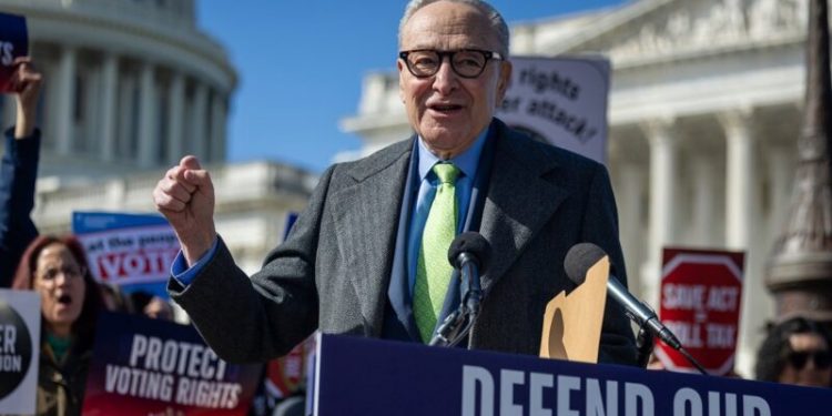 Schumer, Democrats say they support voter ID, then block GOP amendment to require it